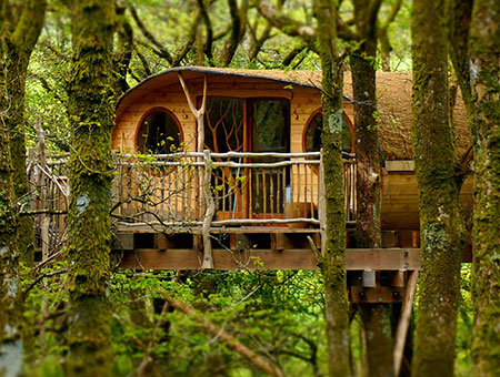 image of Two Night Family Tree House Escape