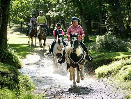 image of Western Horse Riding Break for Two